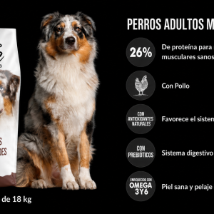 Top One Adulto 18 kilos