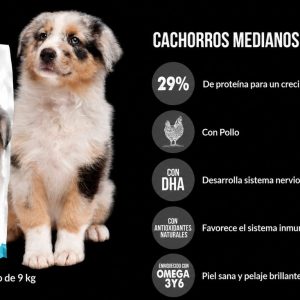 Top One Cachorro 9 kilos