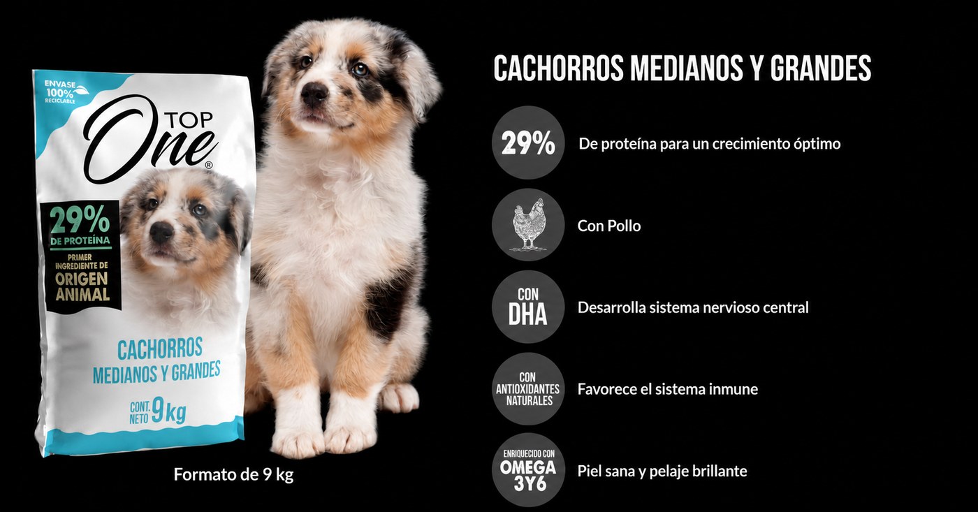 Top One Cachorro 9 kilos