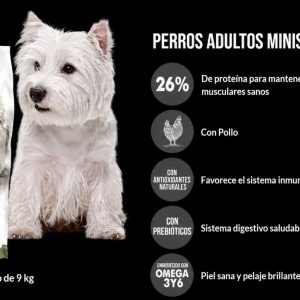 Top One Adulto minis y pequeño 9 kilos